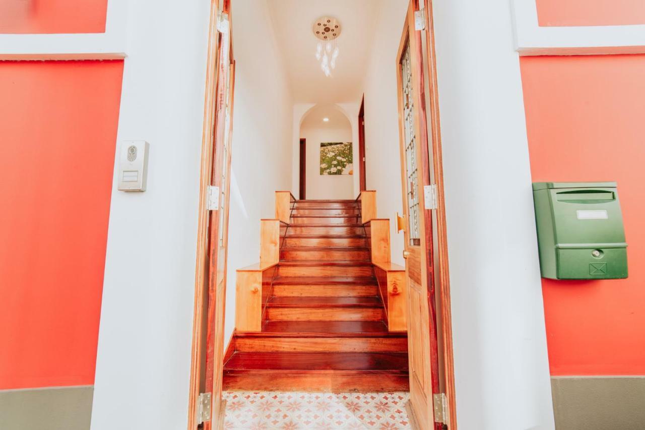 Casa Strelitzia Apartamento Funchal  Exterior foto